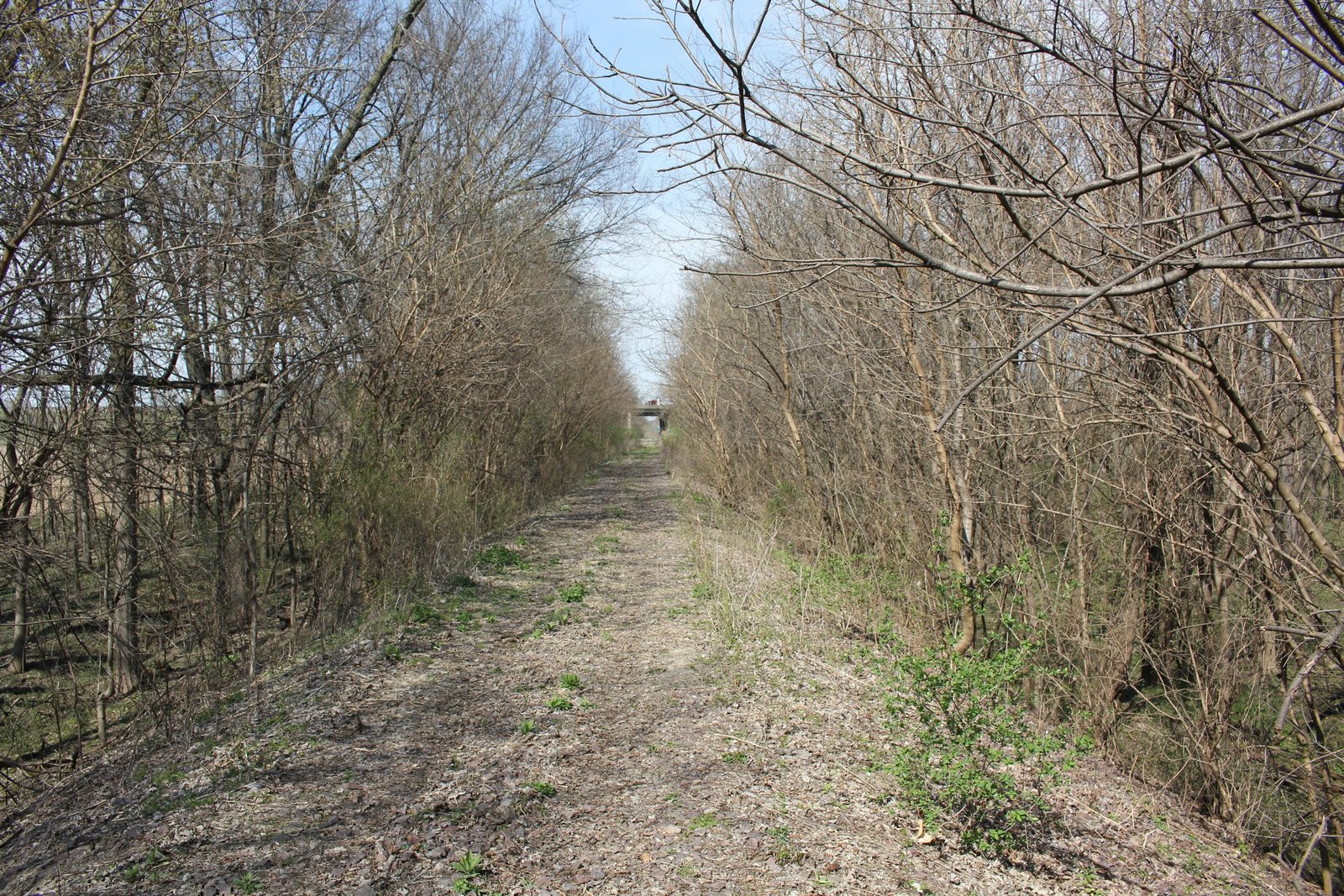 Looking east
